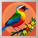 Suche nach bunter vogel poster Natur