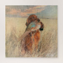 Suche nach irish setter puzzle Hund