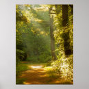 Suche nach lichtstrahl poster Landschaft