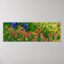 Suche nach malerpinsel poster Natur