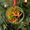 Suche nach paradiesvögel ornamente Blume
