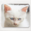 Suche nach weißes kätzchen mousepads Babytiere