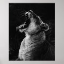 Suche nach lioness poster Natur