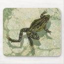Suche nach grüner frosch mousepads Natur