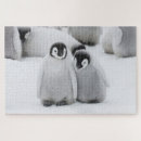 Suche nach baby pinguin puzzle Antarktis