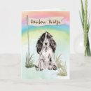 Suche nach rainbow bridge karten Verlust