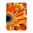 Suche nach bürsten magnete Blumenreich