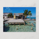 Suche nach carribbean Tropisch