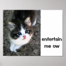 Suche nach lustig katzen poster Cool