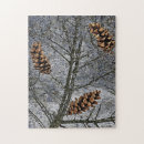 Suche nach kiefer puzzle Winter