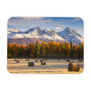 Suche nach landscape magnete Dawn