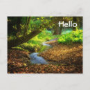 Suche nach schöne landschaft postkarten Bäume