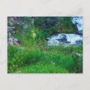 Suche nach prinz alle postkarten Für alle