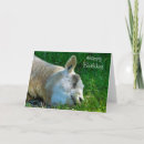 Suche nach lustige schaf karten Niedlich