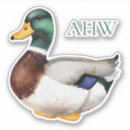 Suche nach grüne ente aufkleber Jede person