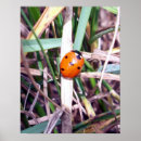 Suche nach spotlight poster Bilder