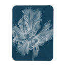Suche nach einfarbig magnete Blume