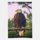 Suche nach adler geschirr tücher Eagles