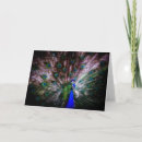 Suche nach auffällig karten Atemberaubend