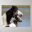Suche nach vanner poster Foal