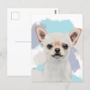 Suche nach niedlicher chihuahua postkarten Jede person