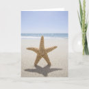 Suche nach von cape cod karten Urlaub