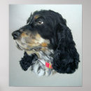 Suche nach english poster Spaniel