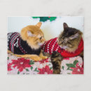 Suche nach geschwister postkarten Jede person