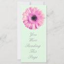 Suche nach rosa gerbera Jede person