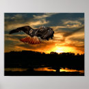 Suche nach roter sonnenuntergang poster Sonnenaufgang