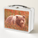 Suche nach wildlife brotdosen Grizzlybär