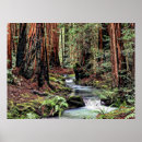 Suche nach detail poster Landschaft