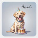Suche nach labrador retriever aufkleber Geburtstag