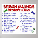Suche nach malinois poster Hund