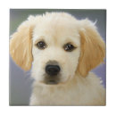 Suche nach personifizieren fliesen Jede person