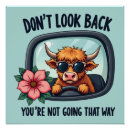 Suche nach lustige kühe poster Landleben