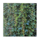 Suche nach vines fliesen Botanisch