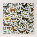 Suche nach insekten puzzle Schmetterling