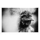 Suche nach schnabel poster Huhn