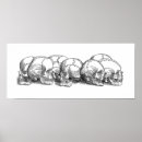 Suche nach weißer schädel poster Zeichnend