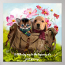 Suche nach kleiner weißer hund poster Hunde