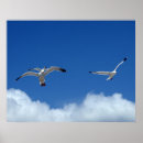 Suche nach winde poster Foto