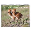 Suche nach küken kalender Natur