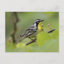 Suche nach singvögel postkarten Natur