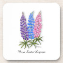 Suche nach lupine untersetzer Für alle