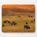 Suche nach hügel mousepads Gras