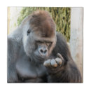 Suche nach primate fliesen Wildtiere