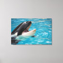 Suche nach orca leinwandbilder Wild lebende tiere