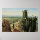 Suche nach western landscape poster Cactus