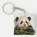Suche nach mauer schlüsselanhänger Tiere